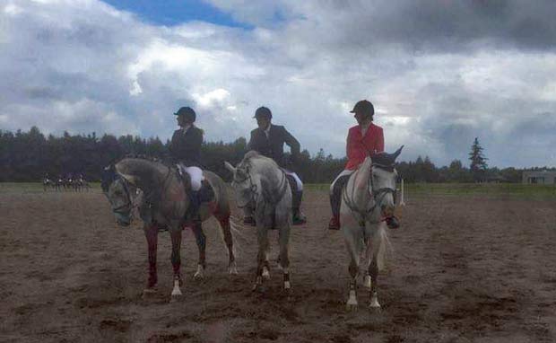 Ansager Rideklub til Sydjysk mesterskab for hold i Billund