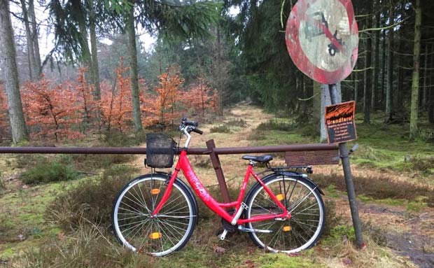 Cykel står på Starupvej i Elbæk plantage 