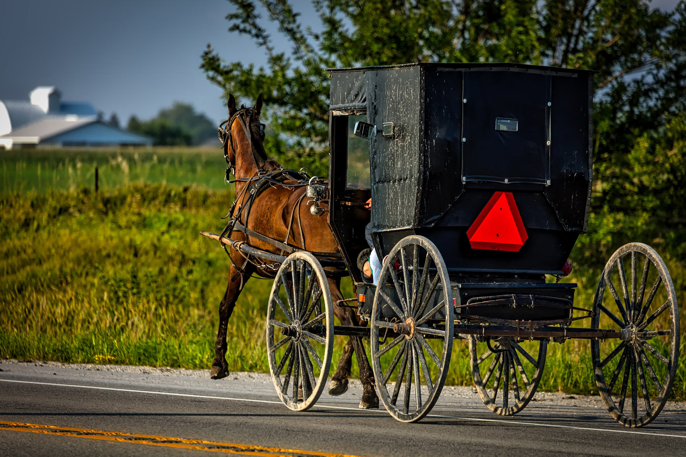 Foredrag Amish folket