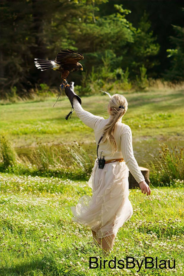 Lena Blau med en rovfugl på hånden, et symbol på tillid og samarbejde