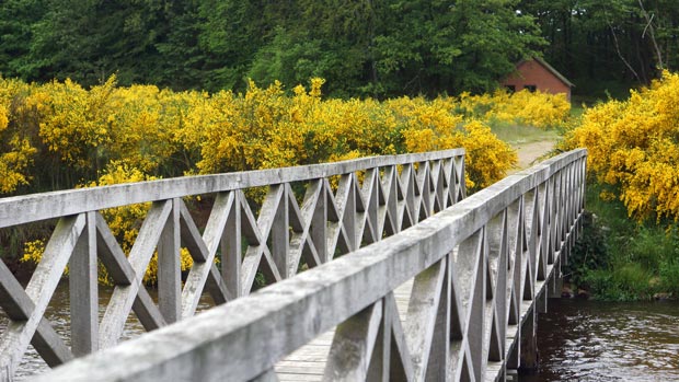 Broen over Varde å ved den tidligere spærredæmningen er målet for gåturen på Åens Dag