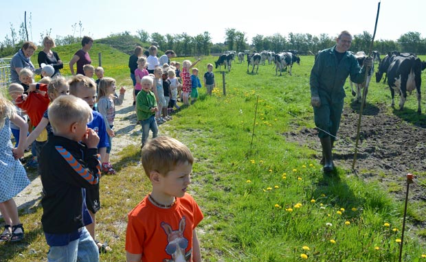 Børnehaven "Naturligvis" på  bondegårdsbesøg for at se køerne komme på græs for første gang
