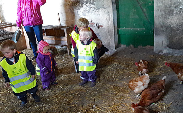Dagplejen i Ansager besøger bondegård med høns
