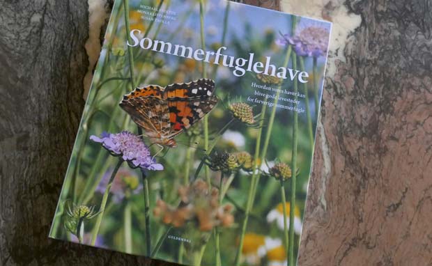 Ønsker du at skabe gode livsbetingelser for sommerfugle i din have? Mange sommerfuglearter har det vanskeligt i den danske natur, og de behøver al den hjælp, de kan få for at overleve. Få inspiration til at skabe gode livsbetingelser i din egen have.