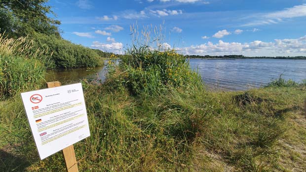 Badning i Kvie Sø frarådes, da der er fundet for mange colibakterier i en vandprøve