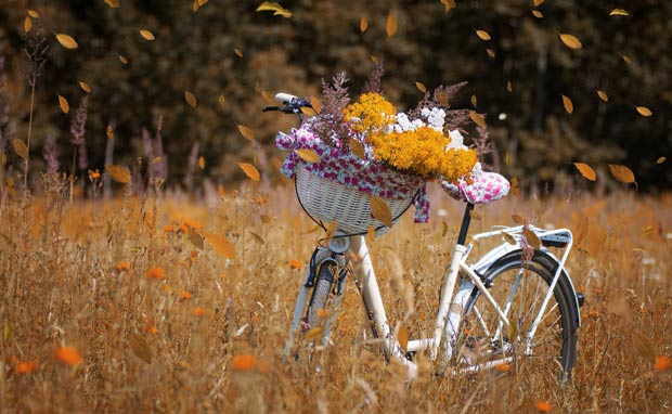 Efterårets cykeltur går til Skovlund og er på ca. 15 km ad cykelstier, asfaltveje og gode skovstier. Undervejs er der korte fortællinger.